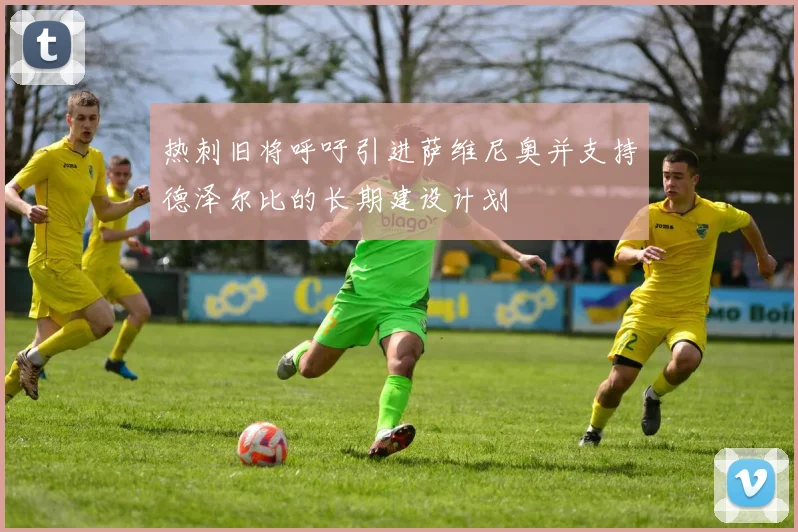 热刺旧将呼吁引进萨维尼奥并支持德泽尔比的长期建设计划